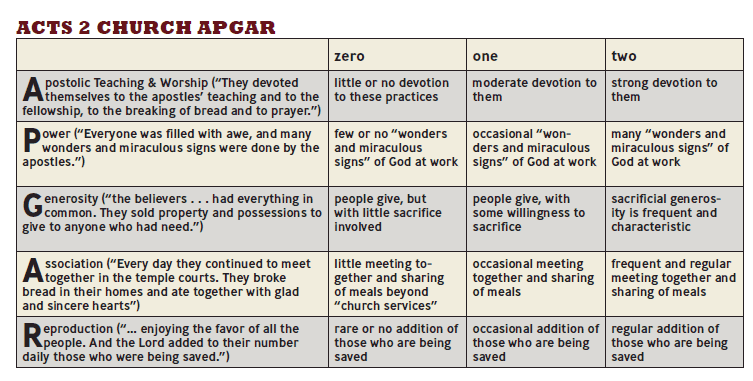Apgar Scale Chart