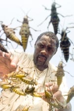 Idris Elba as Ben; very large bugs as themselves