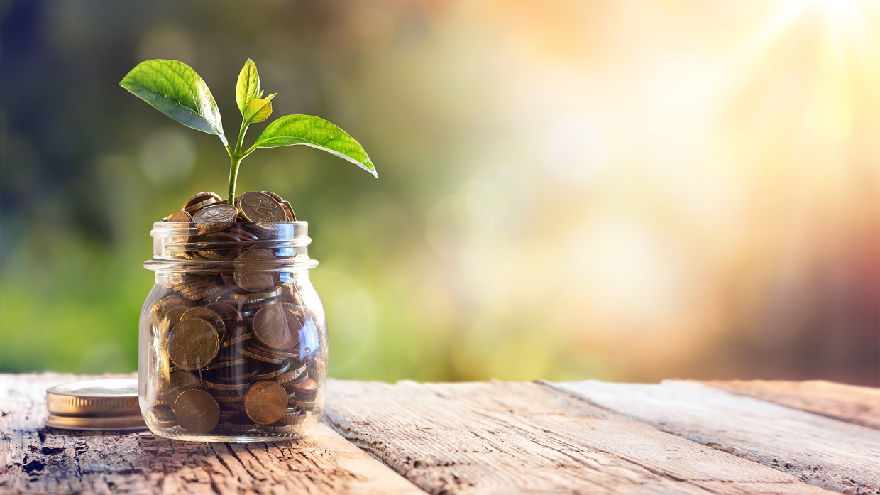 Plant Growing In Savings Coins