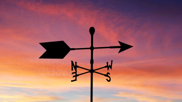 Weather vane, illustrating the shifting wind.