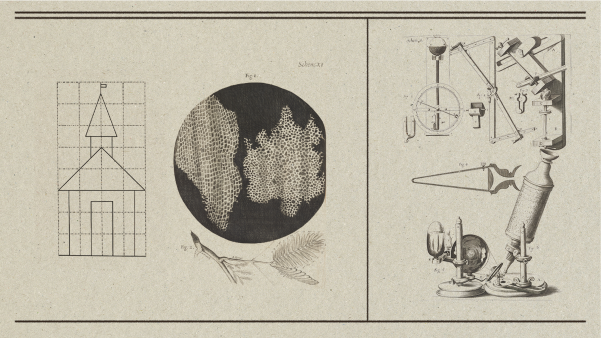 Various scientific sketches
