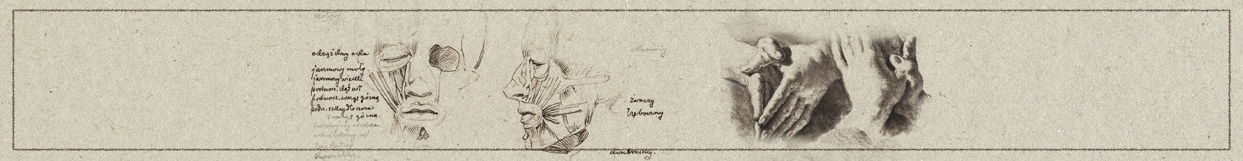 Science-like sketches of a human head and hands with handwritten notes