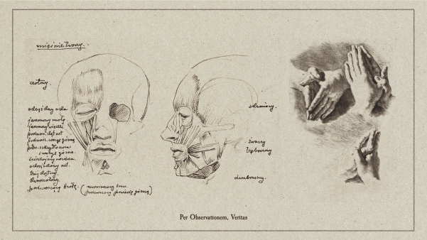 Science-like sketches of a human head and hands with handwritten notes