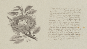 A sketch of eggs in a birds nest with stylized notes beside it