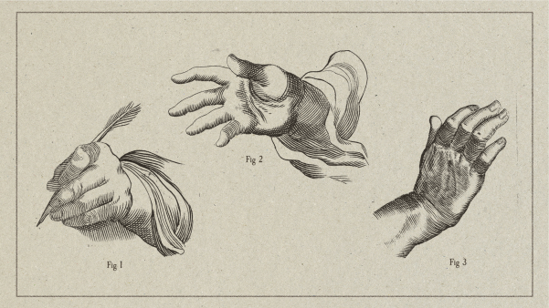 An image with sketches of human hands in various positions