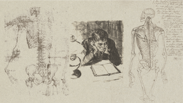 An image of a old time parchment with medical drawings and notes of the human skeleton