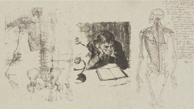 An image of a old time parchment with medical drawings and notes of the human skeleton