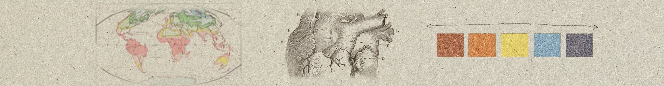 An image with maps and a medical drawing of a human heart