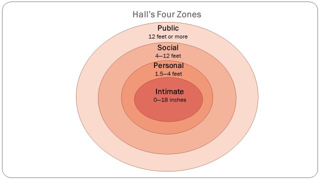 A diagram depicting Hall's Four Zones--Public, Social, Personal, Intimate