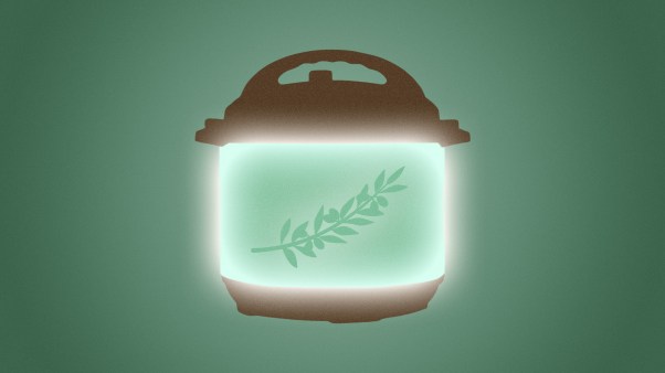 An olive branch in a pressure cooker.