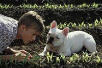 Secondhand Lions