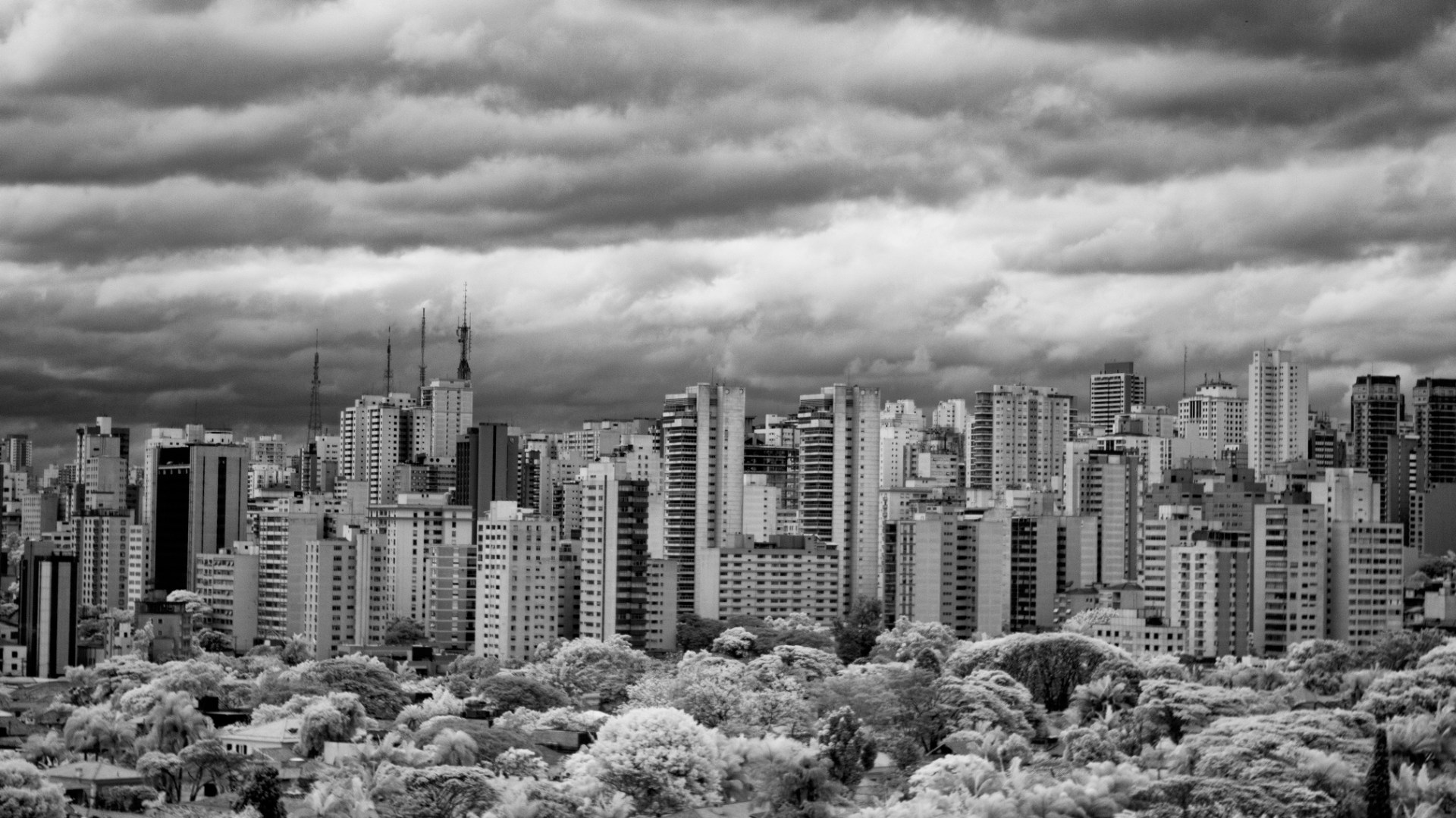 San Paulo, Brazil