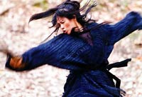 The fight scenes are so gorgeously choreographed they're almost like dances