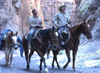 Pete takes Mel's killer, Mike, on an unforgettable journey