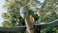 Saphira (voiced by Rachel Weisz) and her Dragon Rider