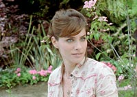 Amanda Peet as Harlee
