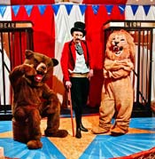 Uhhh, not sure what's going on here