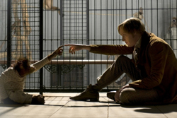 A scene with an orangutan is especially powerful