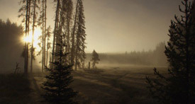 The cinematography is stunning