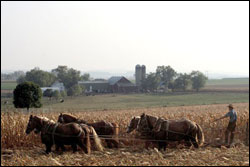 Working-the-fields