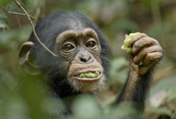 Our adorable star eating some fruit
