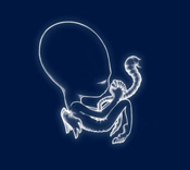 The cover of 'Ágætis byrjun'