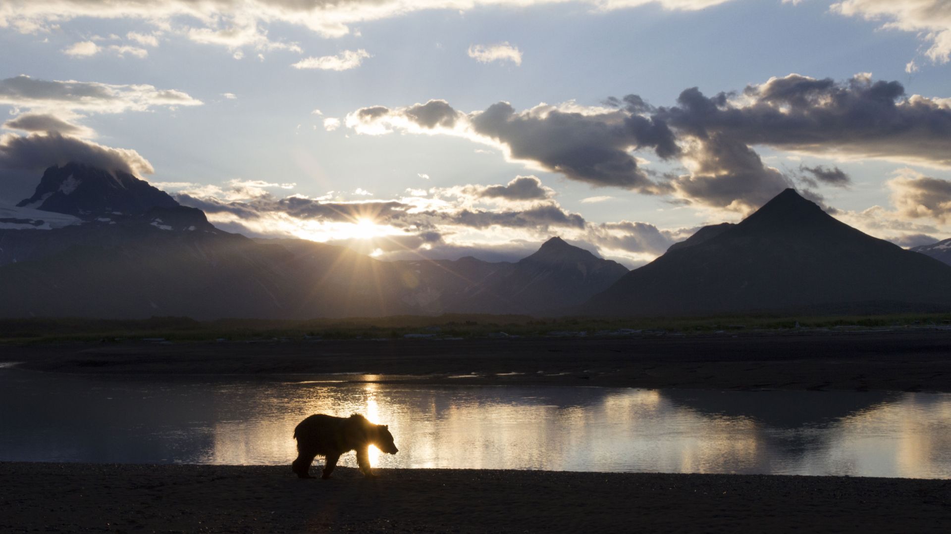 From "Bears"