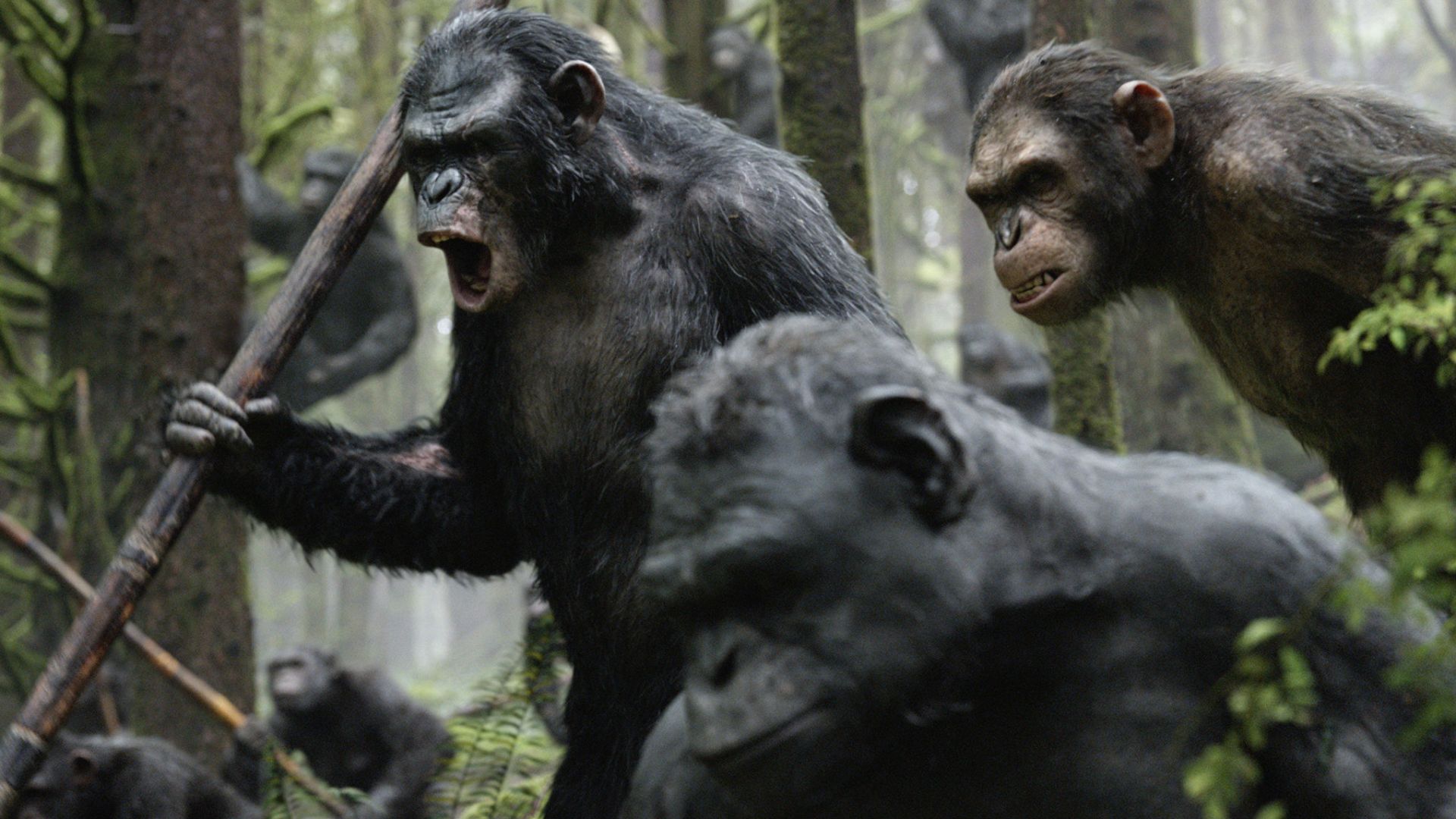 'Dawn of the Planet of the Apes'