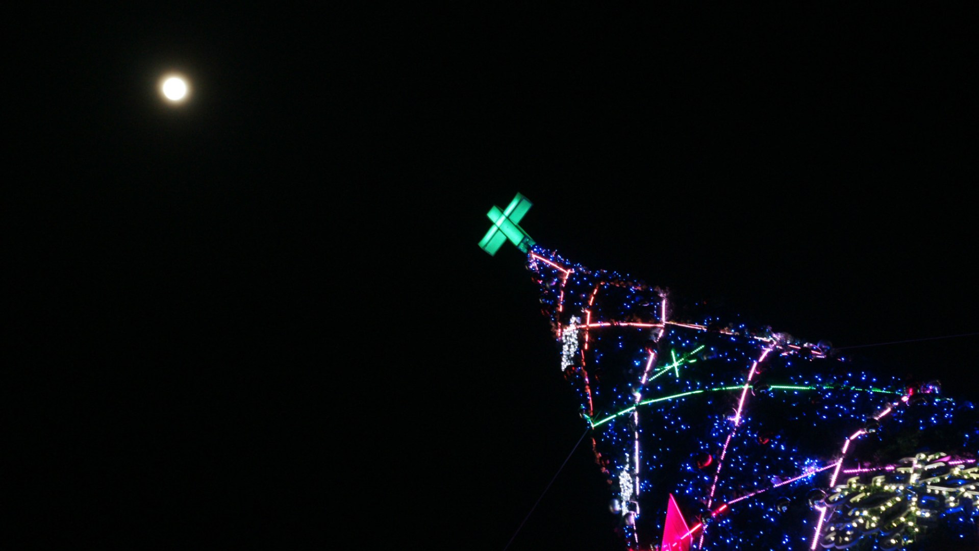 A Seoul Christmas tree.