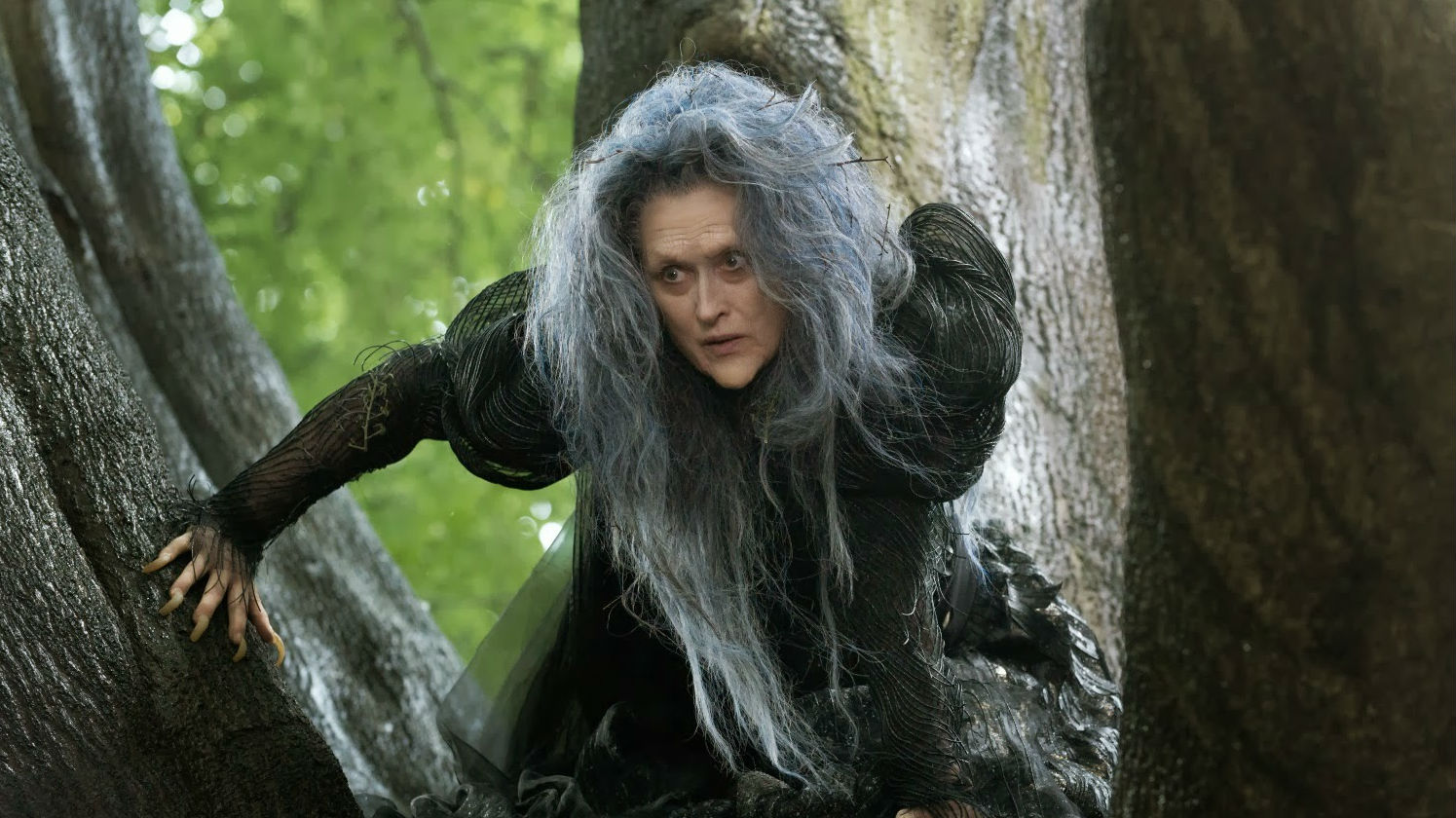 Meryl Streep in 'Into the Woods'