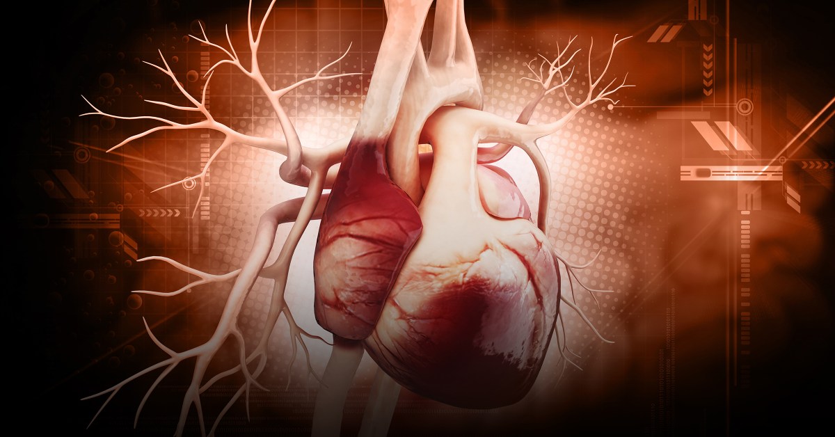 The Astonishing Truth About Arteries Theyre Organs - pj26wlm