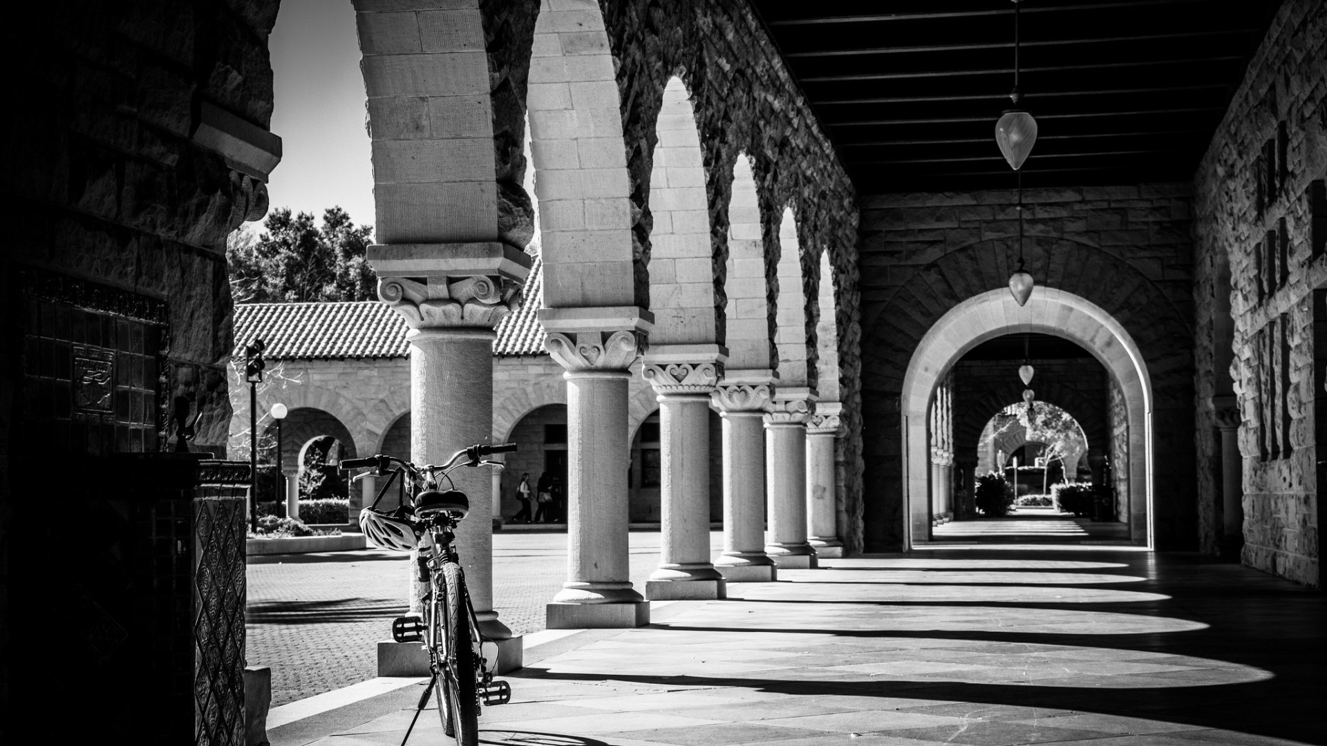 Stanford University