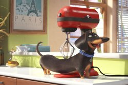 'The Secret Life of Pets'