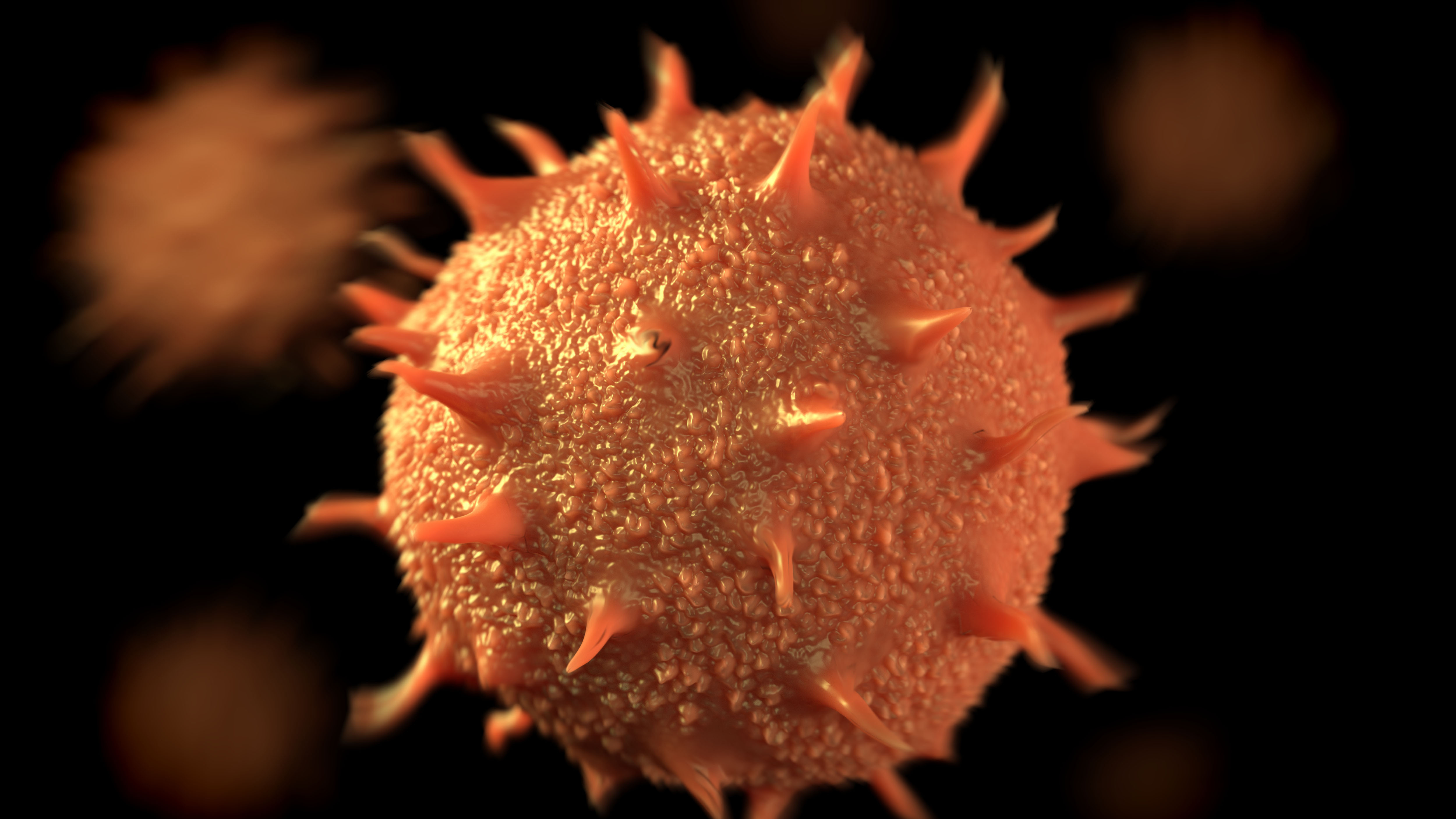 Under a scanning electron microscope, the forms of pollen come to light. The tough outer coat is forged into fantastical forms typical of each species, many with ridges, spines and dimples. Some have wings, others are disc or bean shaped, some are even threadlike. Many pollen grains have grooves or pores in them. These allow the case to shrink or grow with changes in humidity. Sunflower pollen grains (pictured) are spikey balls