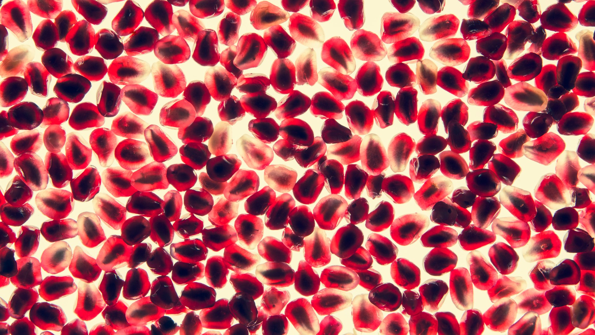 Paul Edmonson / Mint Images / Getty