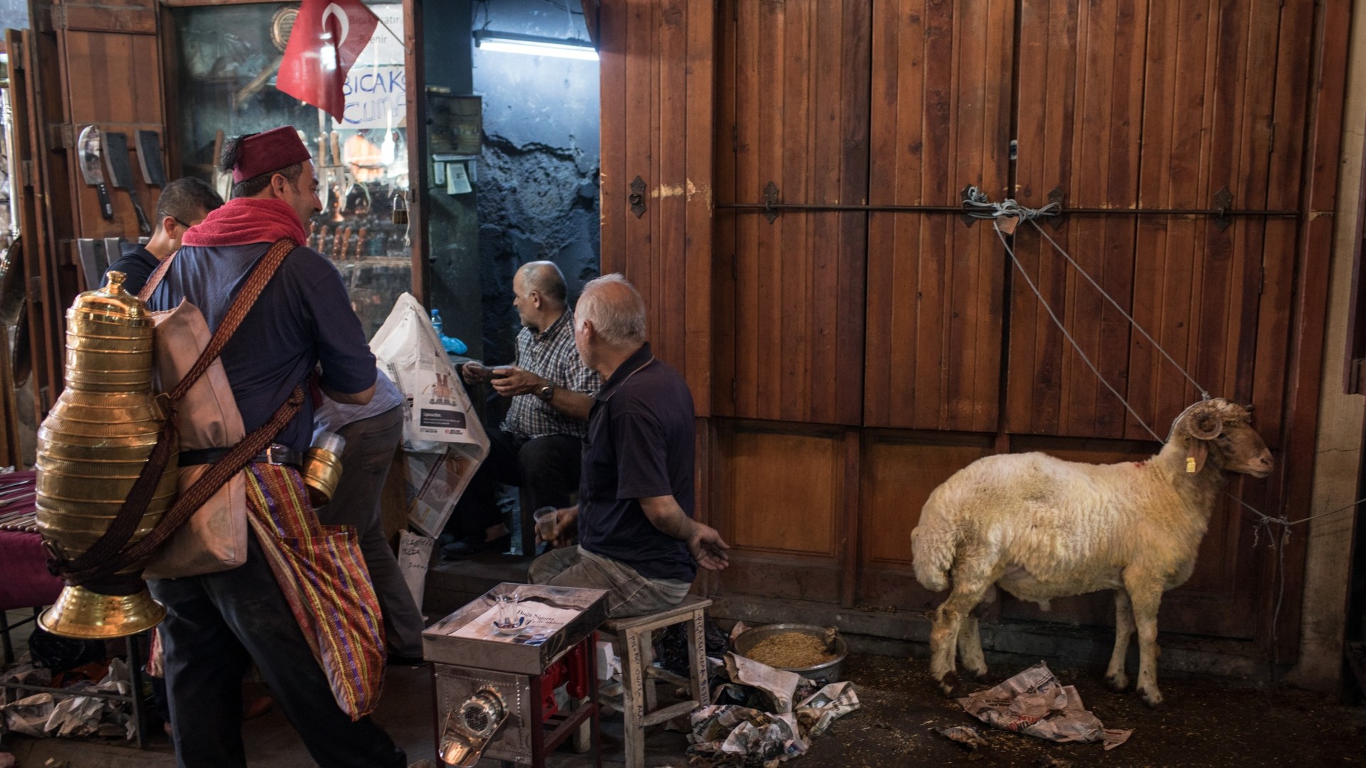 A sacrificial sheep in Turkey used to celebrate Eid al-Adha.