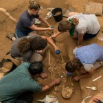Archeologists excavate an ancient Phillstine cemetery near Ashkelon, Israel.