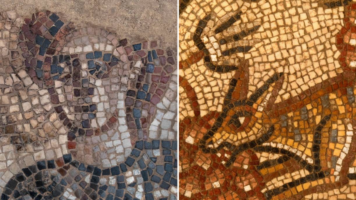 Panels in the synagogue’s floor mosaic included Israelite commander Barak (left) and a fox eating grapes (right).