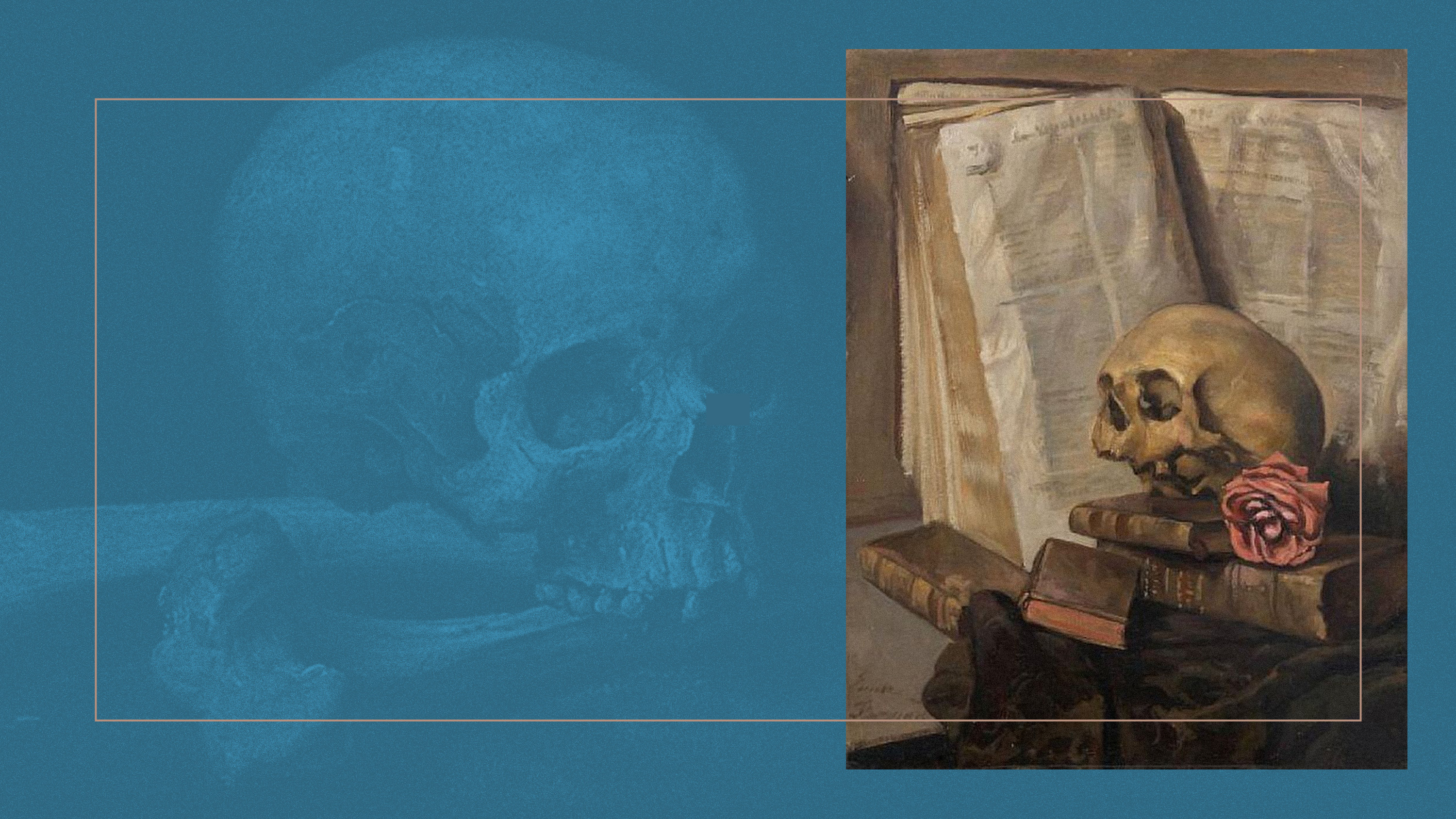 133173.jpg?resize=1200,628