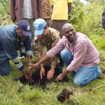 Lazare Sebitereko Rukundwa plants a tree in the Democratic Republic of Congo.