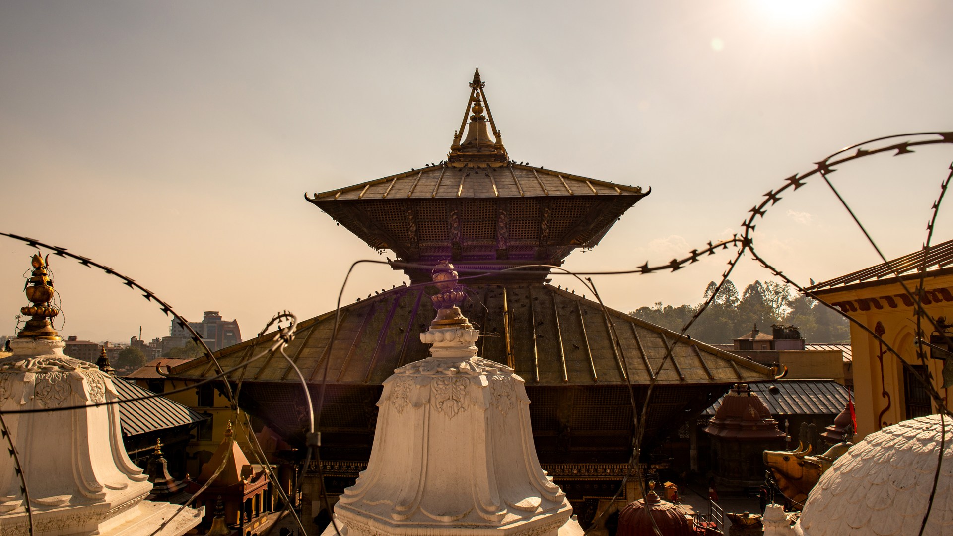 Pashupatinath temple, a sacred Hindu temple, on the banks of the Bagmati River in Kathmandu, Nepal.
