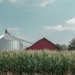 A red barn and metal silo in a field of corn