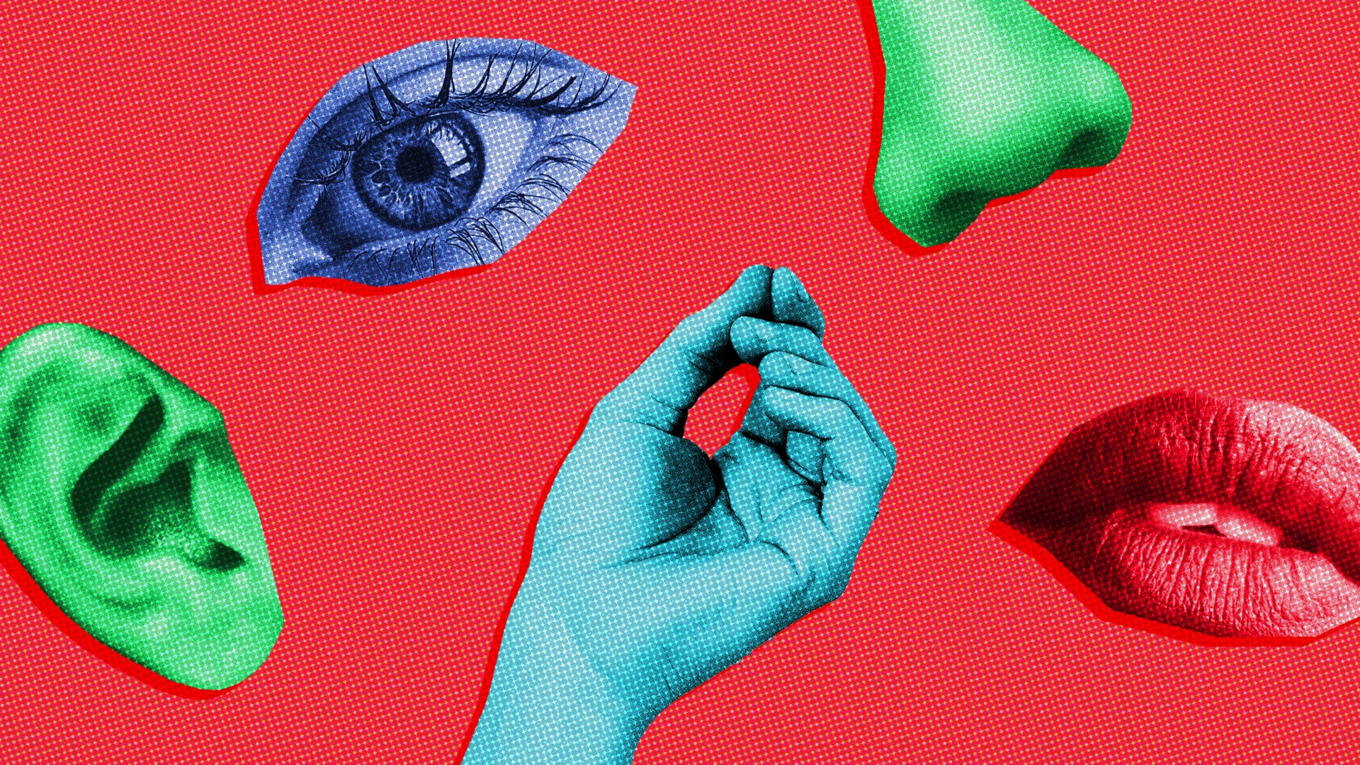 A colorful eye, ear, nose, mouth, and hand on a bright pink background.