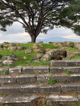 The ruins of the altar of Zeus with a tree in the background
