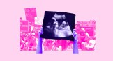 Pink and purple collage of pro-life vs pro-choice protests