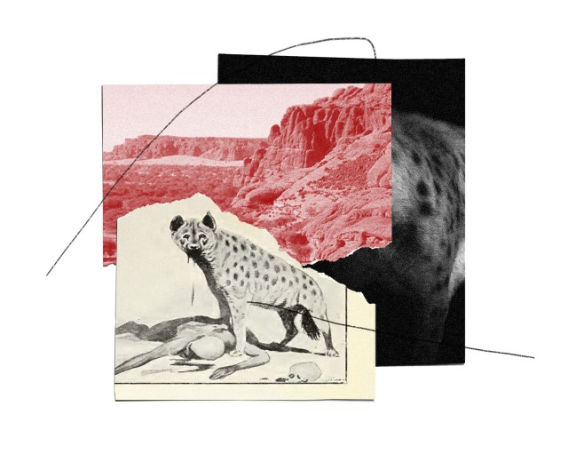 A drawing meant to depict Neali’s tragic death.