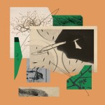 Digital collage of birds and seeds