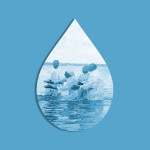 A teardrop shape with a photograph of black missionaries baptizing converts inside it.