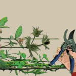 A gardener's hand carefully prunes the encroaching plants that are overtaking the space.