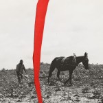 A photo that is ripped in half of a man plowing his field with a mule